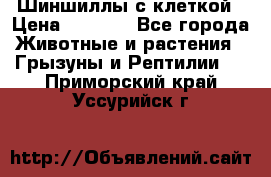 Шиншиллы с клеткой › Цена ­ 8 000 - Все города Животные и растения » Грызуны и Рептилии   . Приморский край,Уссурийск г.